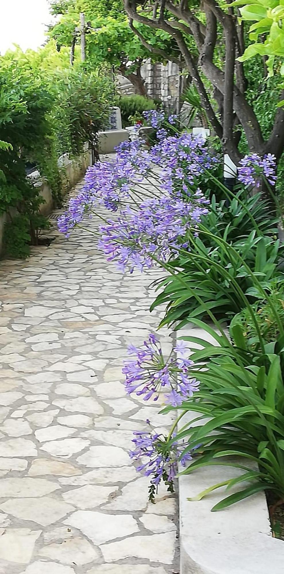 Villa Giardini Luxury Room Capri Exterior foto