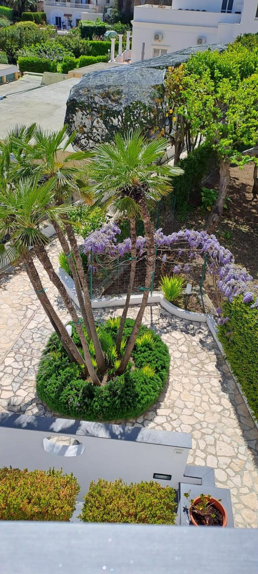 Villa Giardini Luxury Room Capri Exterior foto